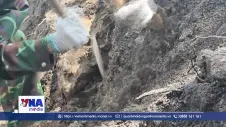 Khánh Hòa tìm kiếm hài cốt liệt sĩ tại khu vực đèo Rù Rì