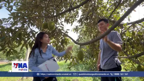 Khơi thông dòng vốn cho hợp tác xã nông nghiệp xanh