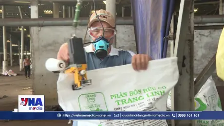 TP. Hồ Chí Minh thúc đẩy chăn nuôi tuần hoàn