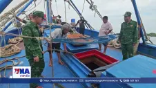 Bắt giữ tàu chở 50.000 lít dầu không rõ nguồn gốc
