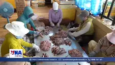 Giữ hương vị truyền thống, vươn xa thị trường