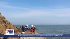 Khẩn trương truy tìm nguyên nhân cá chết hàng loạt ven biển Quảng Trị