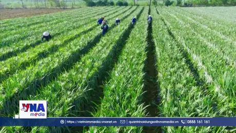 Ngành Công Thương phía Bắc tăng cường liên kết, tạo đà cho tăng trưởng