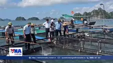 Ứng dụng công nghệ nâng giá trị thủy sản Quảng Ninh