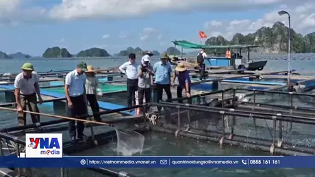 Ứng dụng công nghệ nâng giá trị thủy sản Quảng Ninh