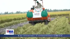 Xử lý rơm rạ, trả lại dinh dưỡng cho đất ruộng