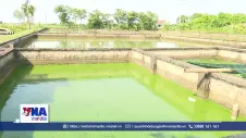 Nguồn vốn mở đường cho những sinh kế mới