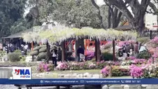 Mùa đỗ quyên rực rỡ giữa lòng Buenos Aires