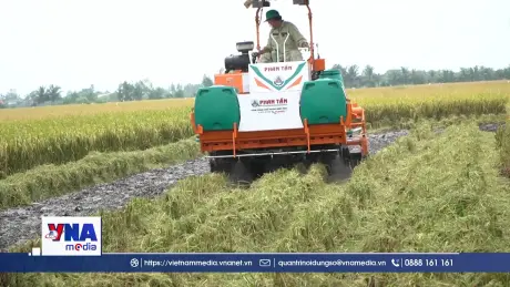 Xử lý rơm rạ, trả lại dinh dưỡng cho đất ruộng