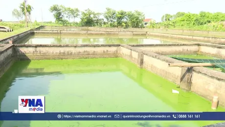 Nguồn vốn mở đường cho những sinh kế mới