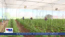 Hồng Sơn tạo giá trị từ đất và nghề