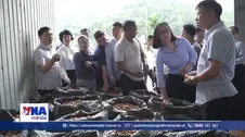Nhiều giải pháp kết nối tiêu thụ nông lâm sản của Lào Cai