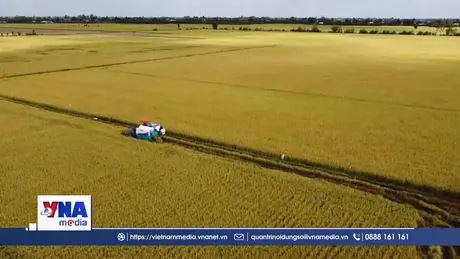 Hợp tác xã làm gì để mở rộng thị trường?
