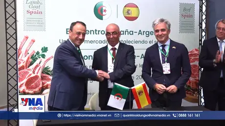 Algeria hợp tác Tây Ban Nha bảo đảm nguồn cung thịt đỏ cho Ramadan