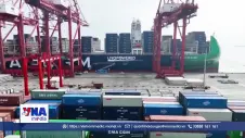 WTO nâng dự báo tăng trưởng thương mại toàn cầu