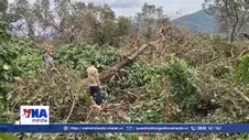 Lốc xoáy làm gãy đổ khoảng 900 cây trồng tại xã Ia Krái, Gia lai