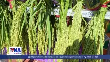 Đặc sắc Lễ hội Cốm Co Giàng