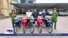 Hà Tĩnh phá đường dây trộm cắp, tiêu thụ xe máy liên tỉnh