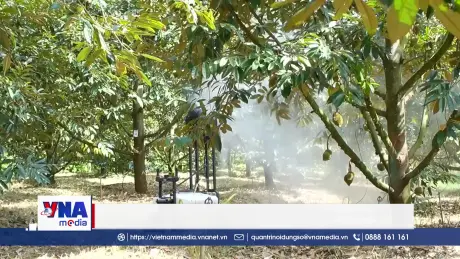 Kết nối nguồn lực, thúc đẩy hệ sinh thái đổi mới sáng tạo
