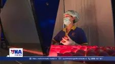 Xuất khẩu nông sản chạy nước rút về đích