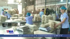 Phú Thọ: Phát huy lợi thế sau sáp nhập, nâng tầm sản phẩm OCOP