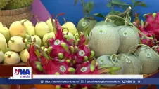 Từ kết nối cung – cầu đến chuỗi giá trị bền vững