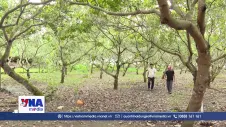 Đất có sổ hàng chục năm, bỗng “lọt” vào hành lang hồ Suối Giai