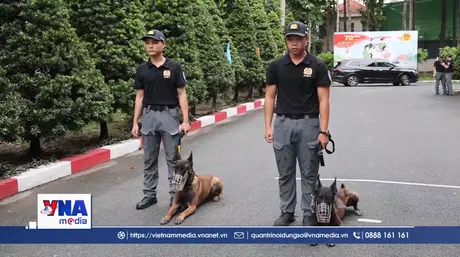 Những “chiến sĩ bốn chân” thầm lặng trong công tác cảnh vệ