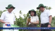 Miền Bắc phấn đấu sản xuất 5 triệu tấn cây trồng vụ Đông