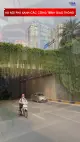 Hà Nội phủ xanh các công trình giao thông