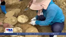 Có kết quả sơ bộ về nhóm cổ vật thời Trần vừa phát lộ