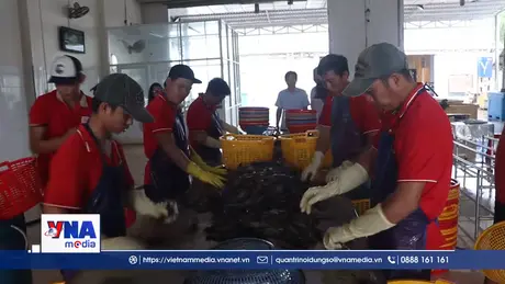 Tôm càng xanh vươn ra thị trường xuất khẩu