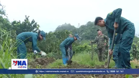 Nỗ lực tìm kiếm, quy tập hài cốt liệt sĩ