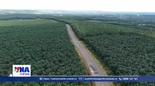 Người dân mong đường ĐH 312 sửa chữa bảo đảm chất lượng