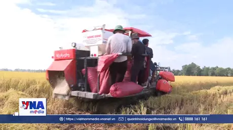 Việt Nam thúc đẩy phát triển hệ thống lương thực bền vững