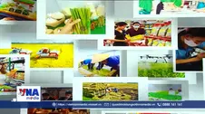 Hoàn thiện chính sách, thúc đẩy tiêu dùng có trách nhiệm