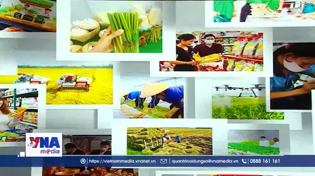 Hoàn thiện chính sách, thúc đẩy tiêu dùng có trách nhiệm