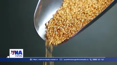 Giá vàng thế giới tăng hơn 1% khi đồng USD suy yếu
