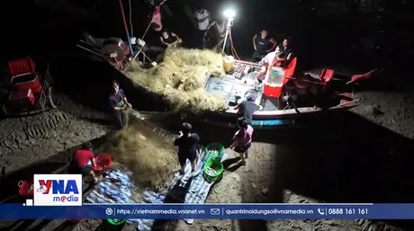 Ngư dân Hà Tĩnh thu tiền triệu mỗi ngày nhờ trúng luồng cá bạc má