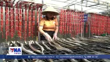 Xây dựng hệ sinh thái khởi nghiệp sáng tạo toàn diện tại Đồng Tháp