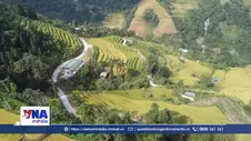 Xà Phìn - mùa vàng bên mái rêu