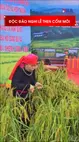 Độc đáo nghi lễ Then cốm mới