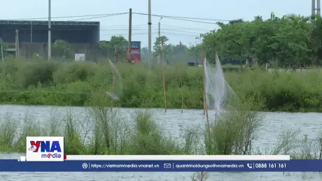 Nghệ An ngăn chặn săn bắt chim trời mùa di cư