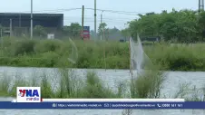 Nghệ An ngăn chặn săn bắt chim trời mùa di cư
