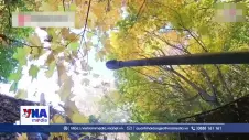 Nga tuyên bố đánh chặn hơn 1.000 UAV trong một đêm