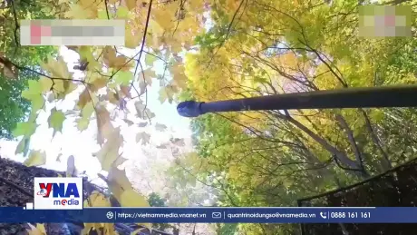 Nga tuyên bố đánh chặn hơn 1.000 UAV trong một đêm
