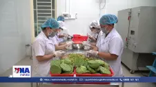 Chạm 57_Doanh nghiệp vừa và nhỏ đổi mới sáng tạo