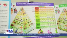 Tuần lễ dinh dưỡng 2026: Hướng tới bữa ăn lành mạnh