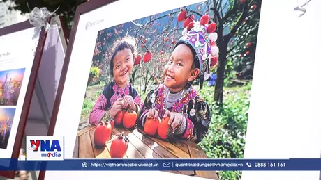 Từng bước hoàn thiện pháp lý hoạt động nhiếp ảnh