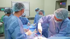 Tế bào gốc - Từ phòng thí nghiệm đến giường bệnh